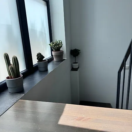 Sumaloft Prensa Apartment Malaga